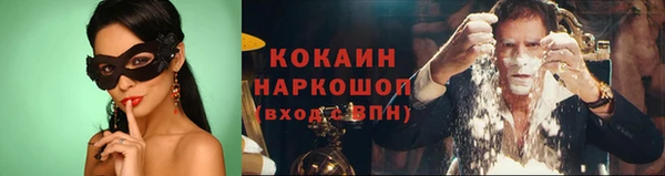 стаф Абинск