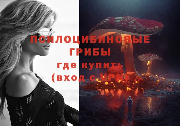 сатива Абдулино