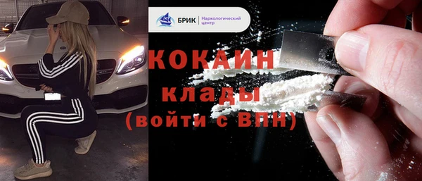 стаф Абинск